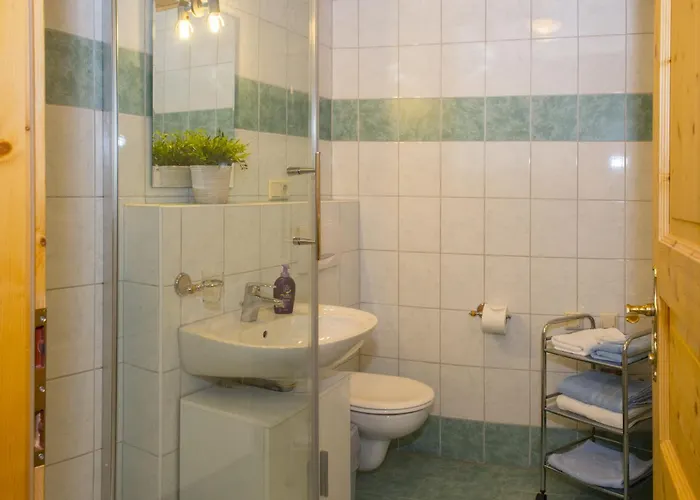 Enzian - Am Skihuegel * ゼーフェルト・イン・チロル