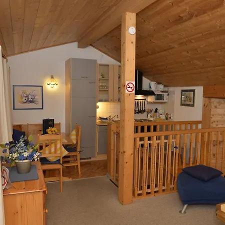 Enzian - Am Skihuegel Appartement